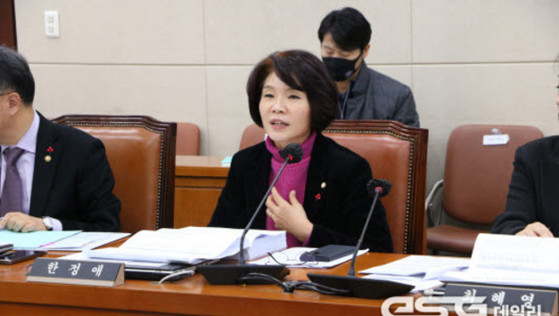 한정애 의원, 대한민국 국회 대표단으로 유엔 기후변화 당사국총회(COP29) 의원회의 참석